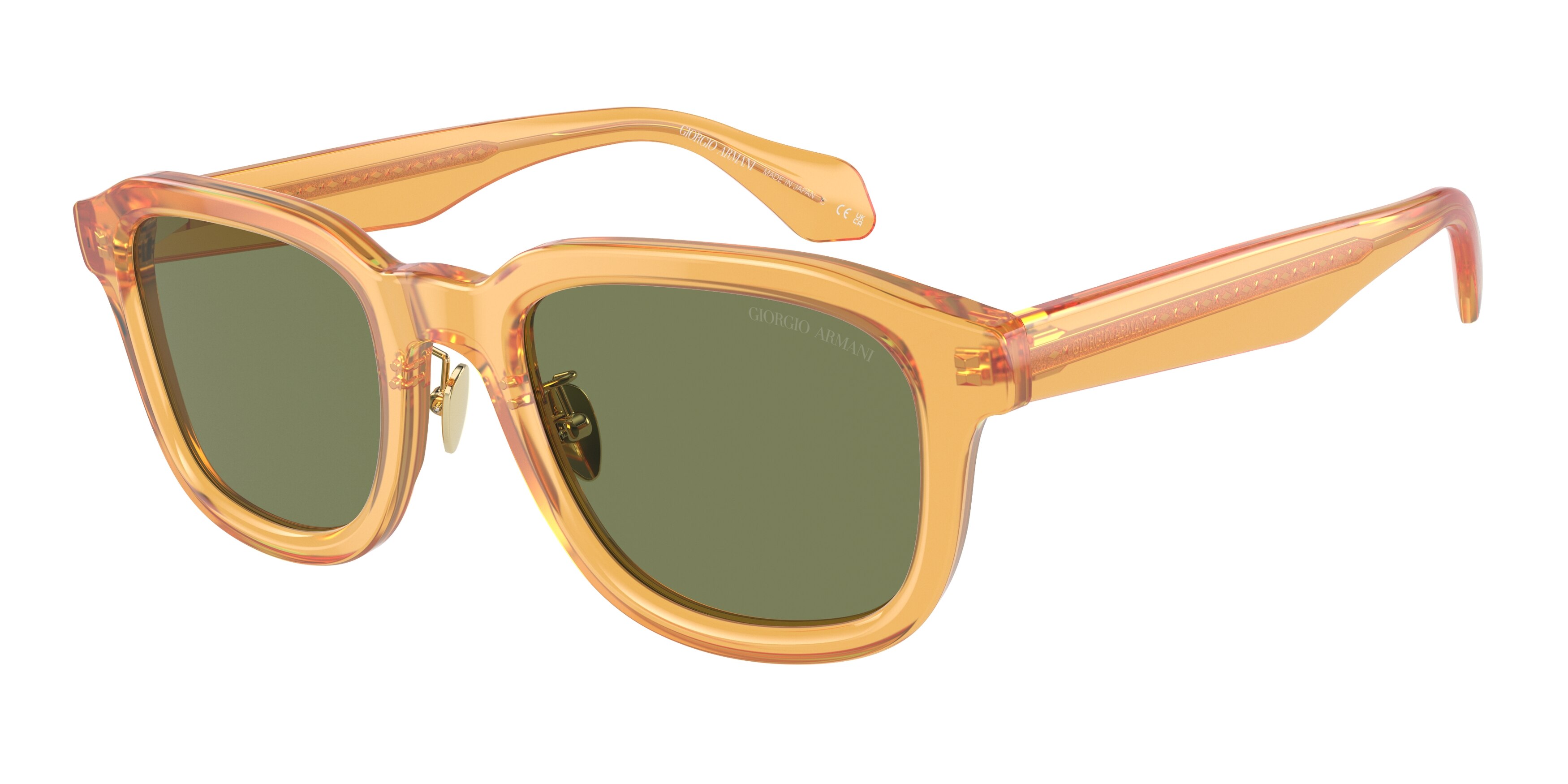 Giorgio Armani AR8206 60632A  